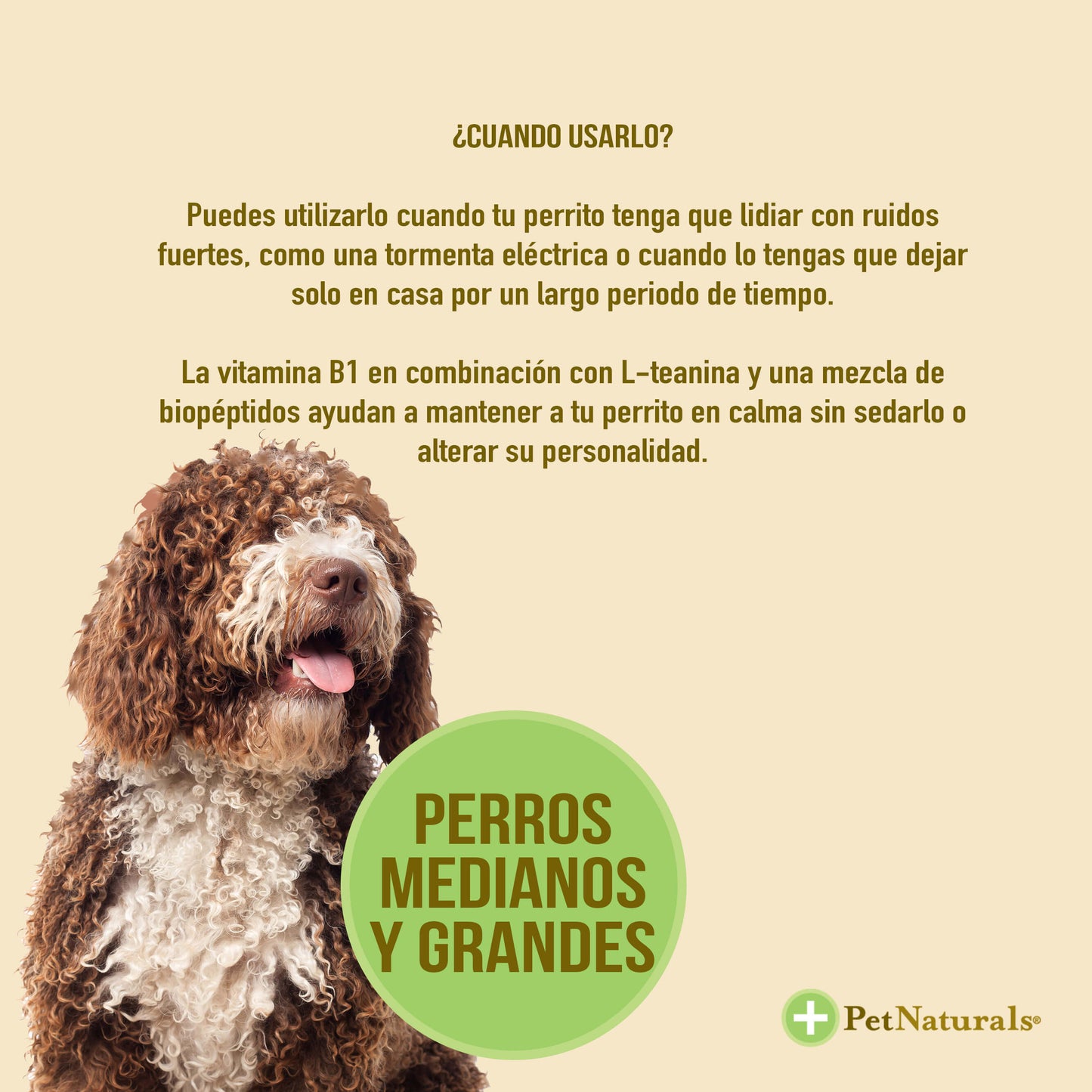 Calmantes para Perros Medianos y Grandes