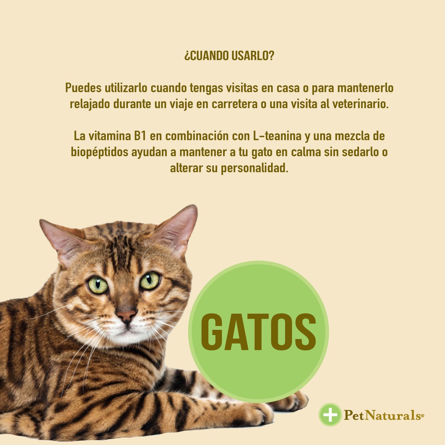 Calmantes para Gatos