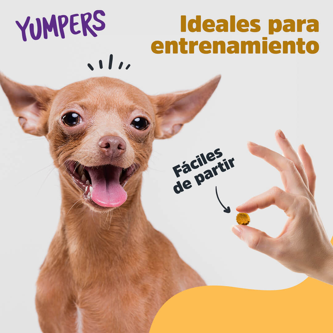 Golosinas para perros con sabor a pollo de Yumpers