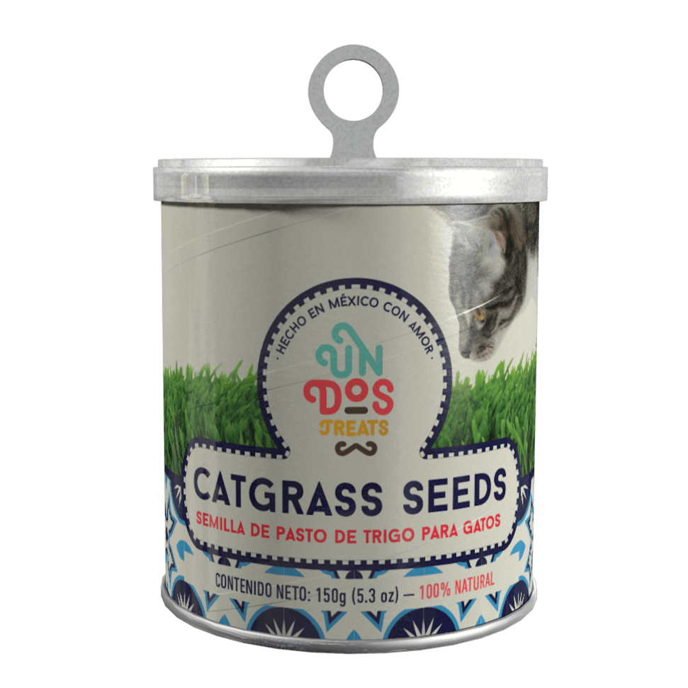 Catgrass Seeds by Un Dos Treats – 100% Natural Wheat Grass