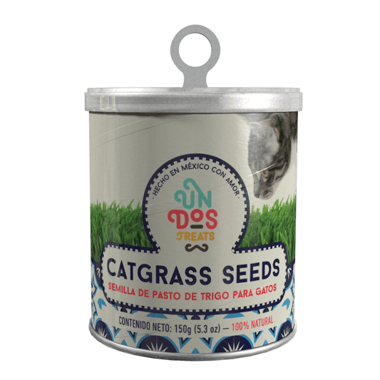 Catgrass Seeds by Un Dos Treats – 100% Natural Wheat Grass