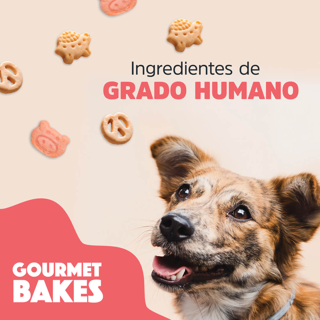 Pasteles gourmet de Trick & Treats: Galletas de Cerdo Agridulces