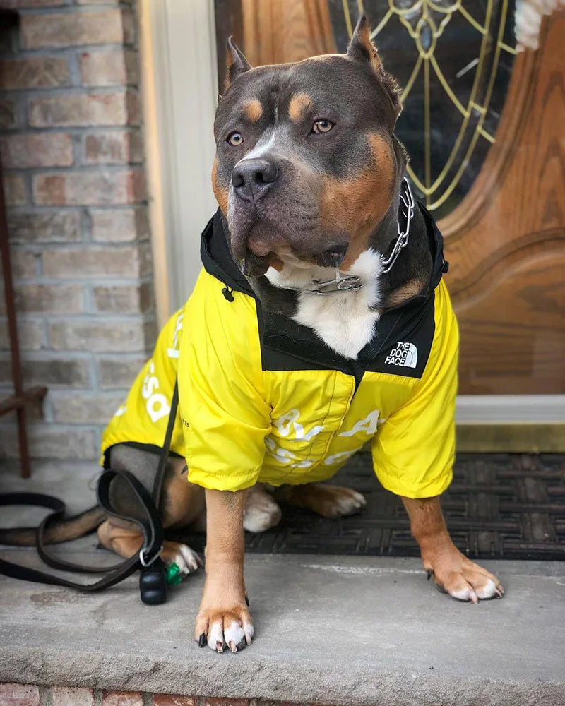 Chubasquero para Perros