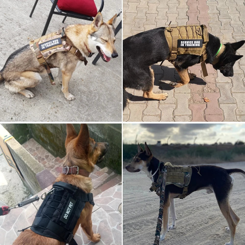 Arnés, collar y correa tácticos para perros, estilo militar 