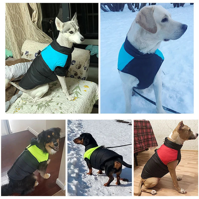 Abrigo de Invierno para Perros