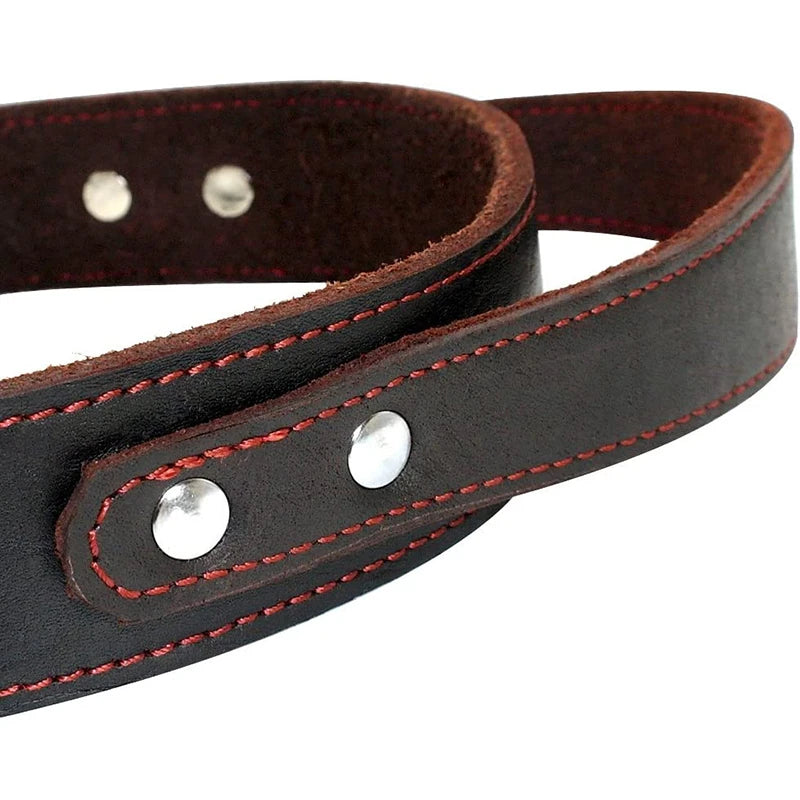 Sturdy Genuine Leather Dog Collar