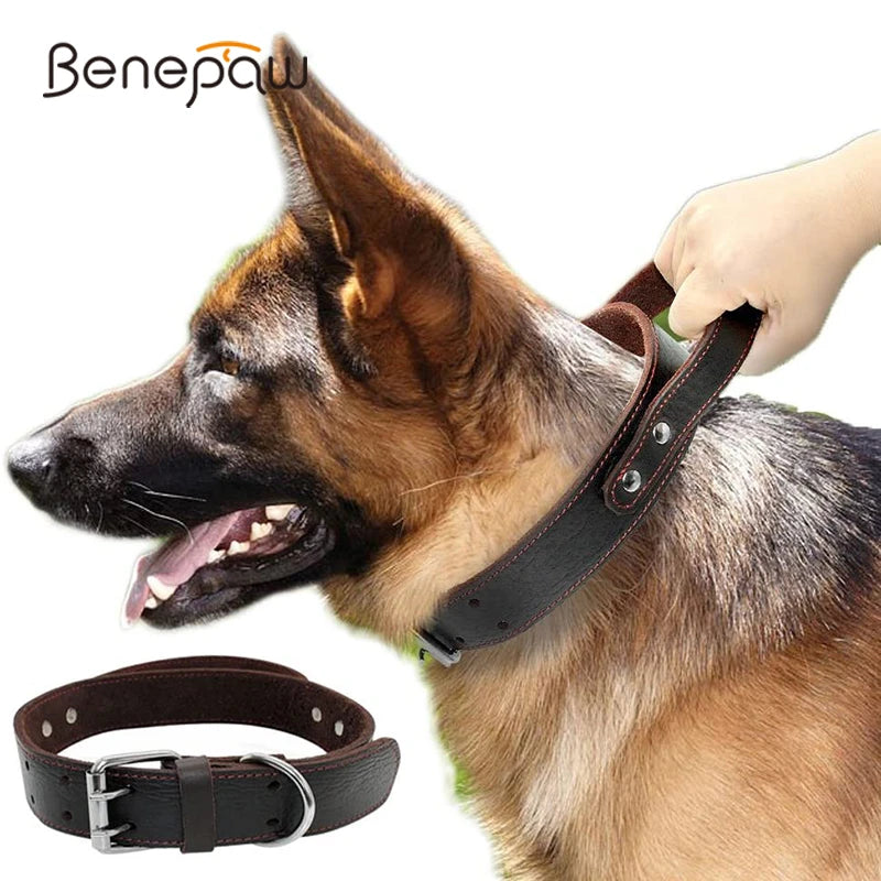 Sturdy Genuine Leather Dog Collar