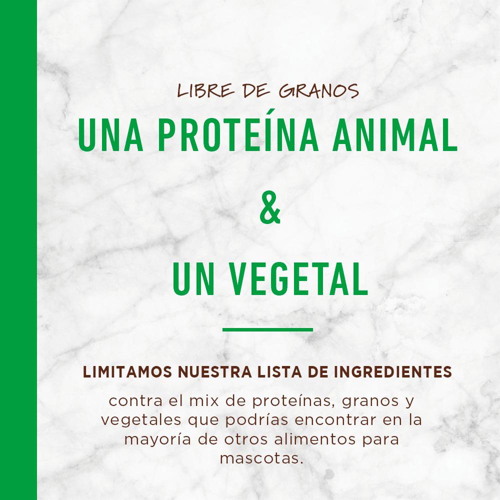 Instinct LID Cordero - Alimento para perros de primera calidad 