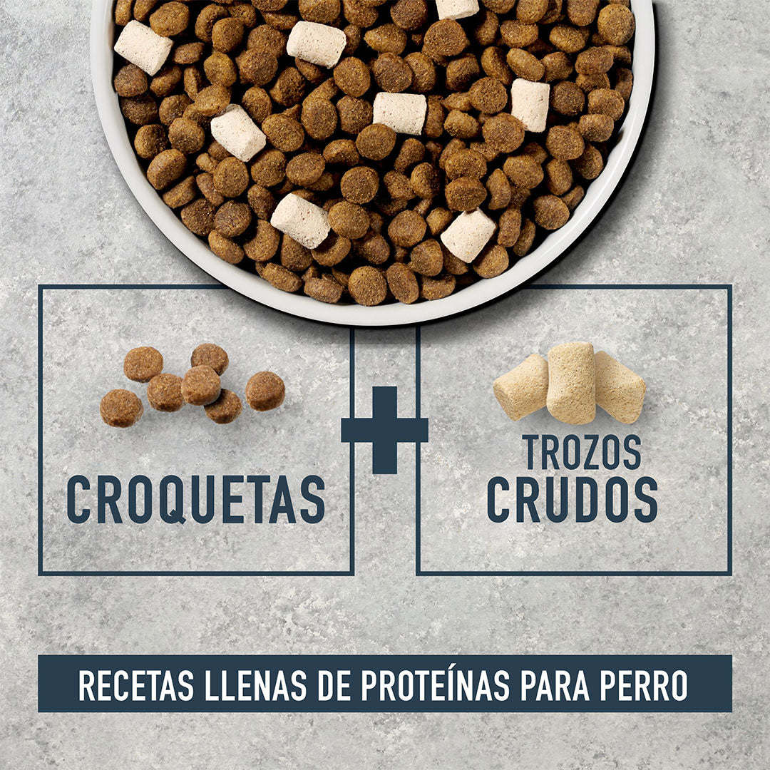 Alimento para perros Instinct Raw Boost: salmón auténtico, cereales y arroz integral, 9,07 kg