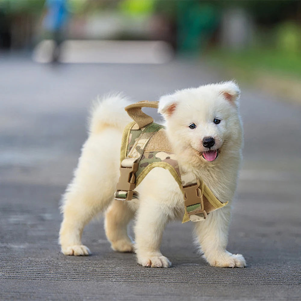 Tactical Cat Harness and Leash