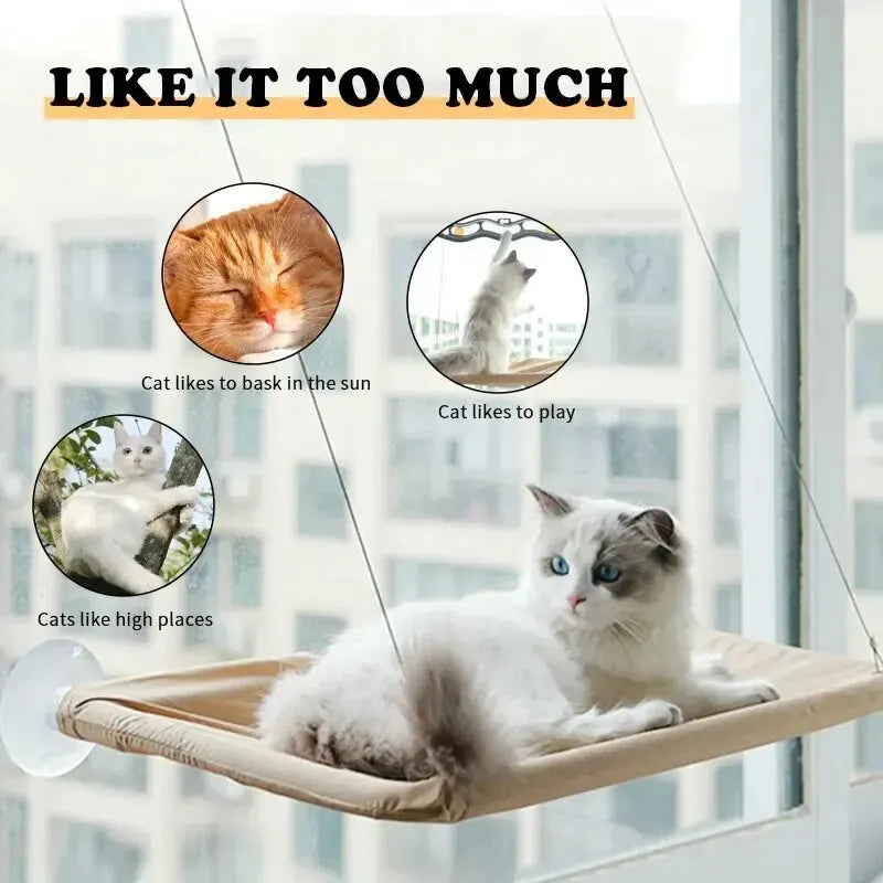 Cat Hammock – Cozy, Detachable & Secure Sleeping Spot