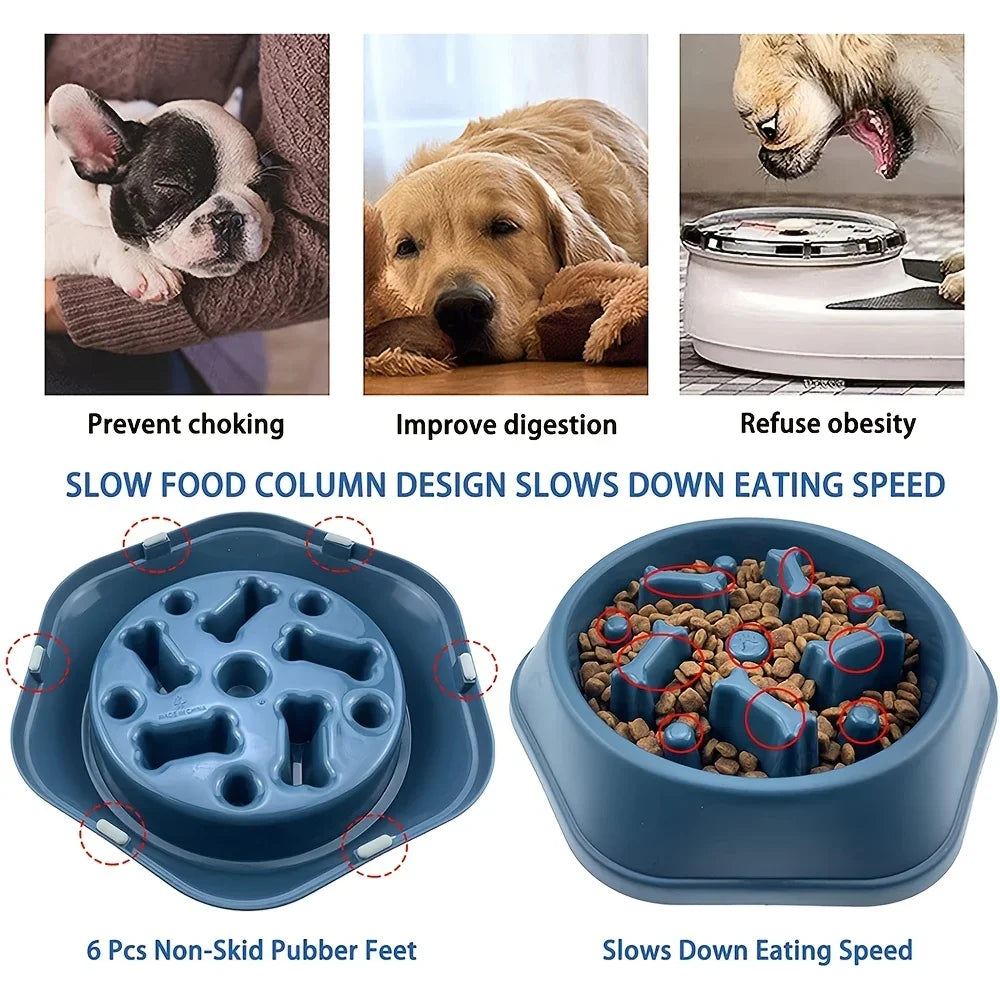 Dog & Cat Slow Feeder Non-choking Pet Bowl