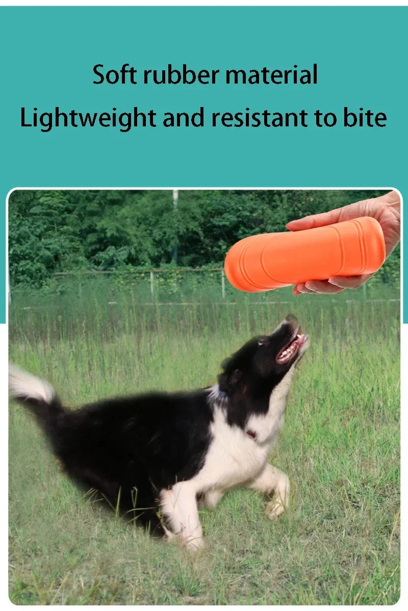 Dog Flying Discs