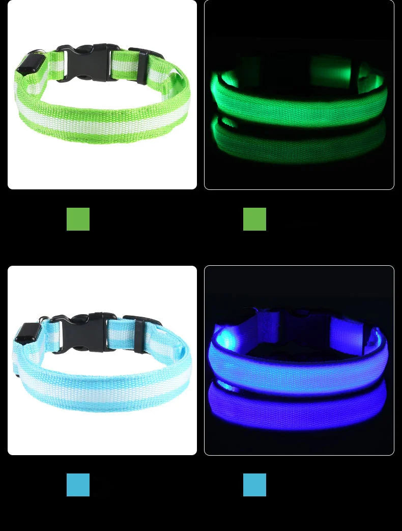 Luminous Fluorescent Pet Dog Collar – LED Night Safety