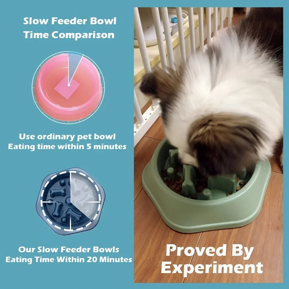 Dog & Cat Slow Feeder Non-choking Pet Bowl