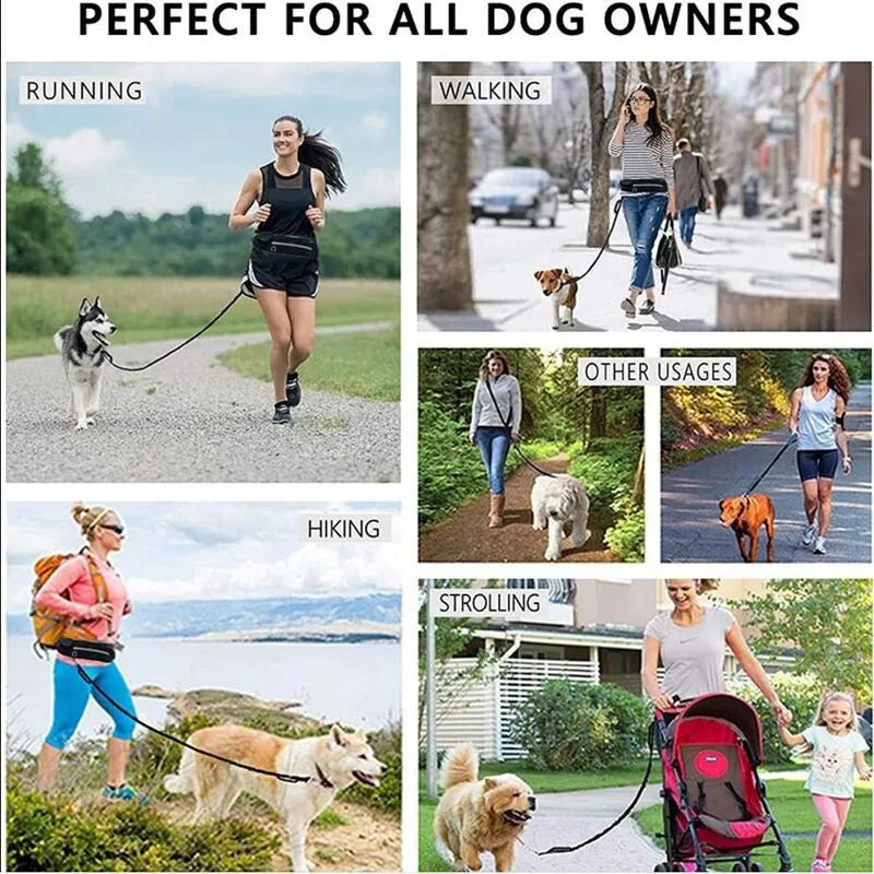 Hands-Free Dog Leash