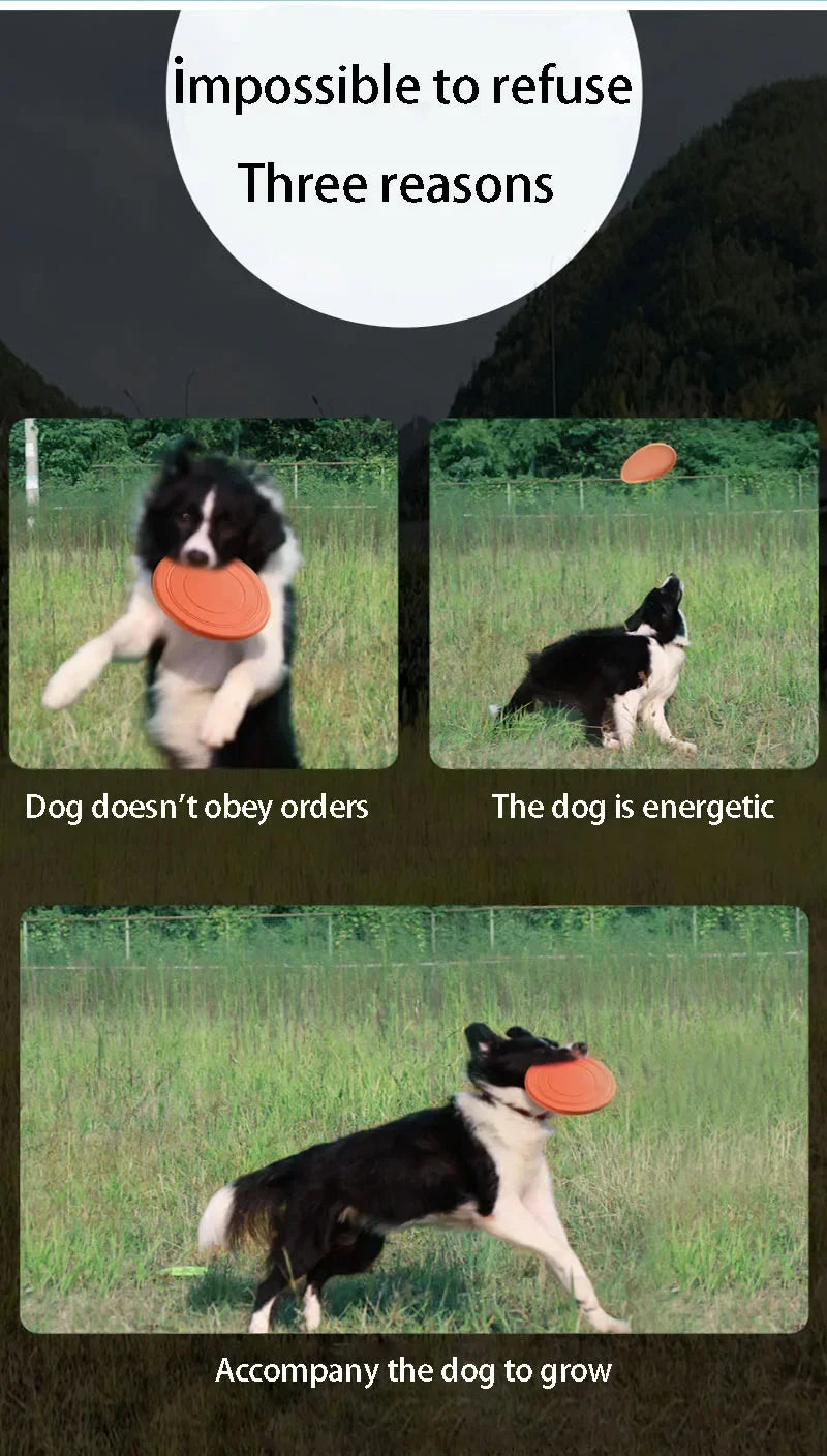 Dog Flying Discs