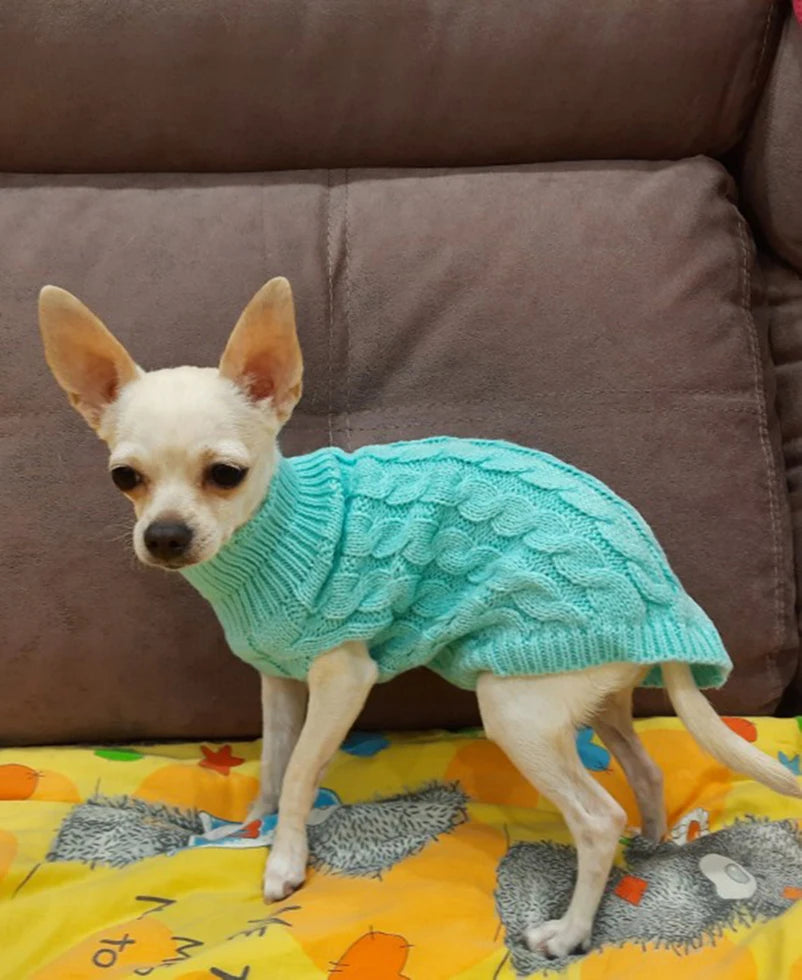 Puppy Dog & Cat Sweaters