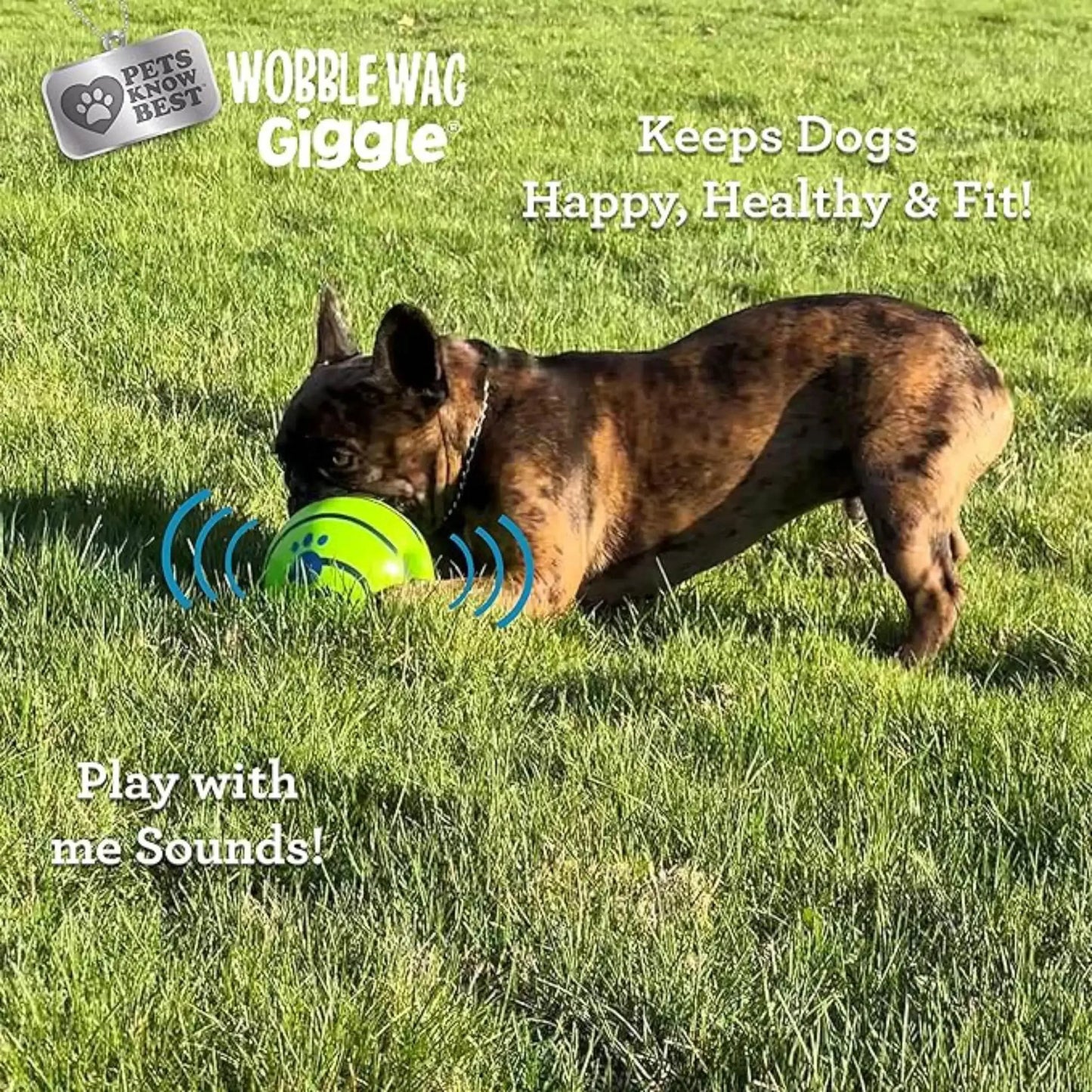 Pelota interactiva para perros