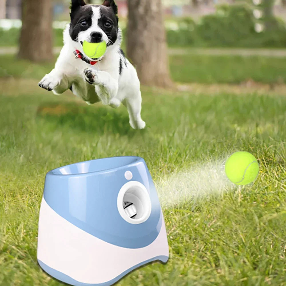 Lanzador automático de pelotas para perros 