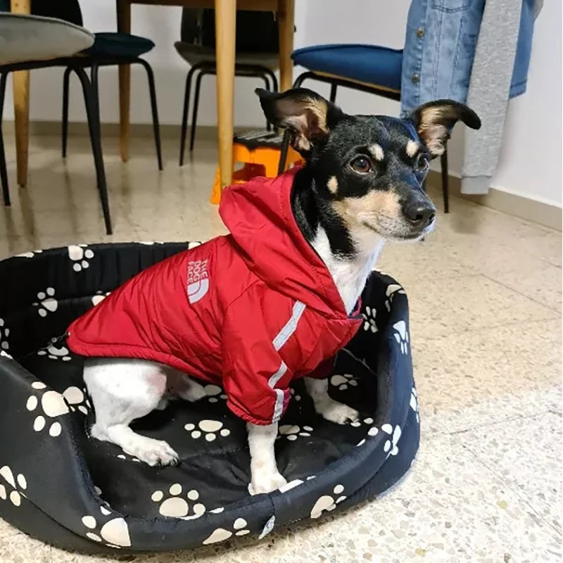 Ropa Impermeable para Perros