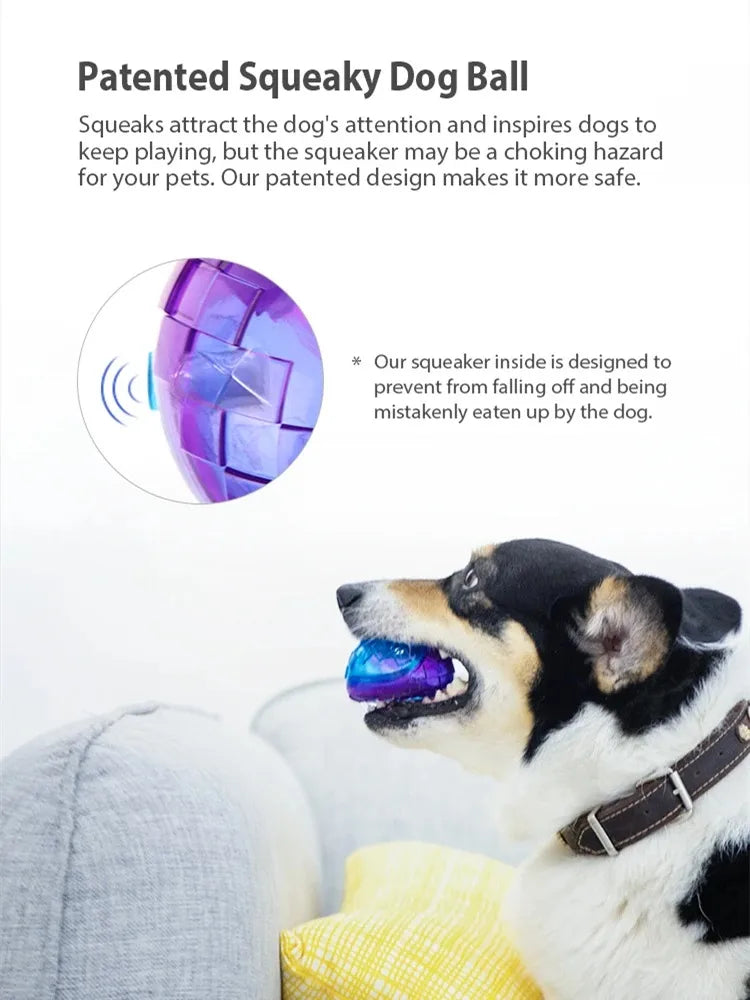 Gigwi Pet Toys Interactive Dog Balls