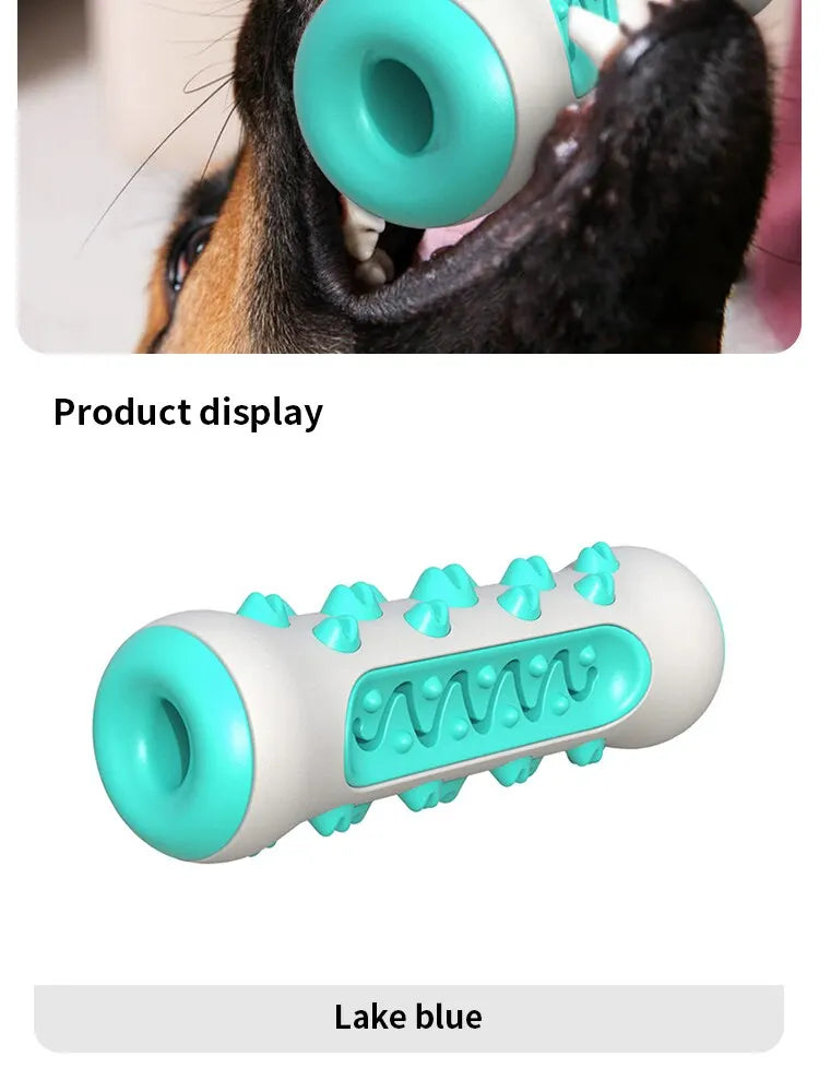 Juguete para la dentición de perros: palito masticable 