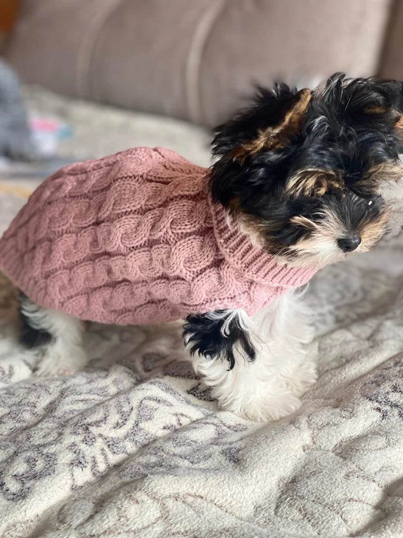 Puppy Dog & Cat Sweaters