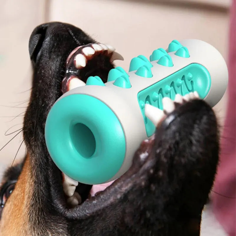 Juguete para la dentición de perros: palito masticable 