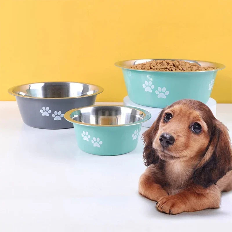 Dog Feeder Bowls And Drinkers Stainless Steel