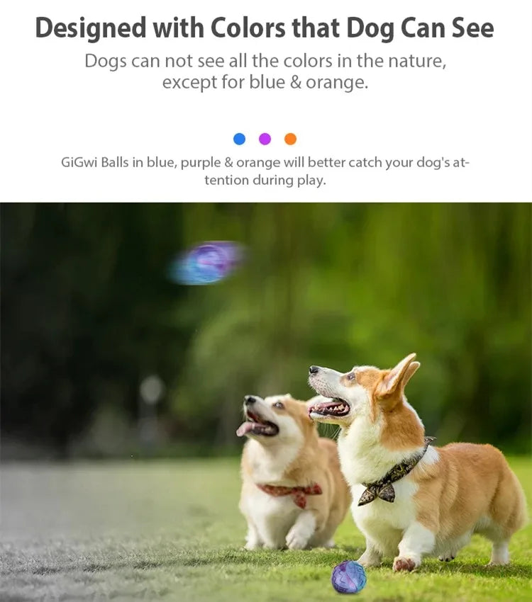 Gigwi Pet Toys Interactive Dog Balls