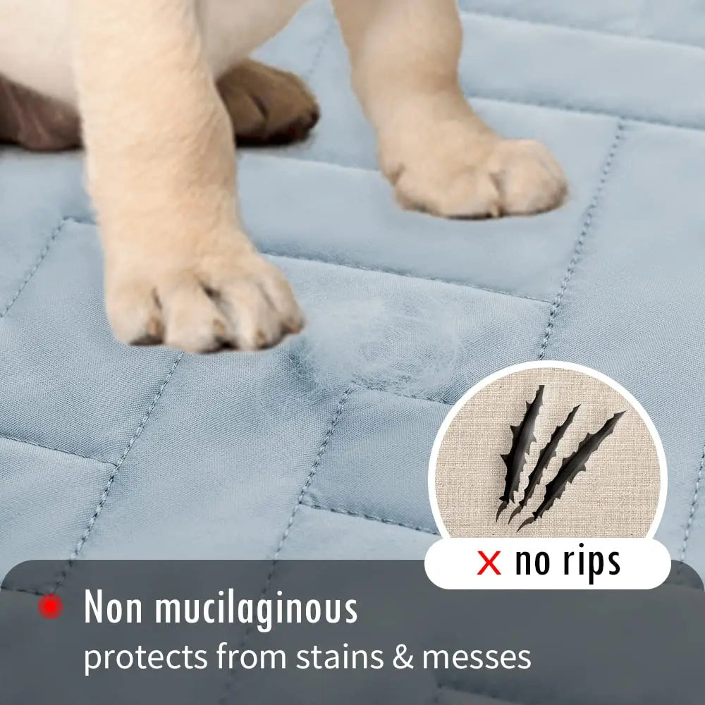 Funda impermeable para cama y sofá para perros: ¡protección original para sus muebles! 