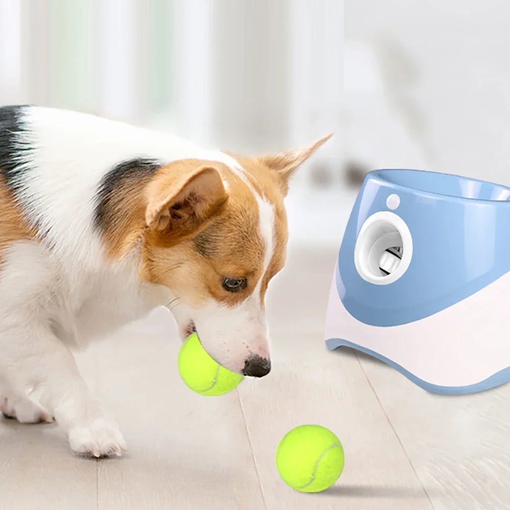 Lanzador automático de pelotas para perros 