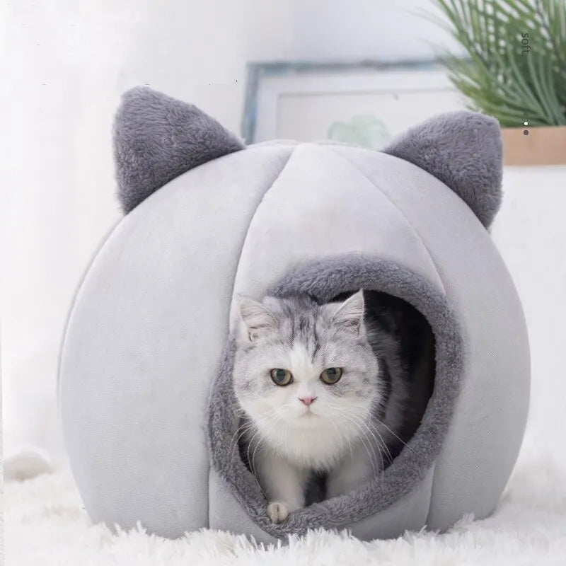 Pet Bed for Cats & Small Dogs