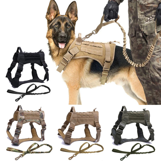 Arnés, collar y correa tácticos para perros, estilo militar 