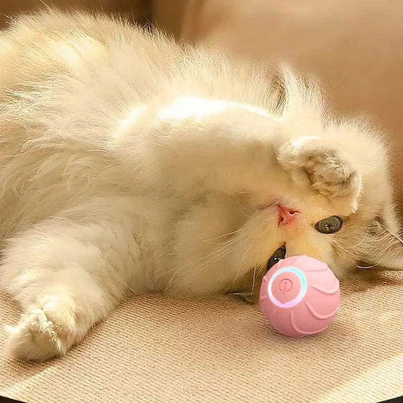 Smart Cat Toys Rolling Ball