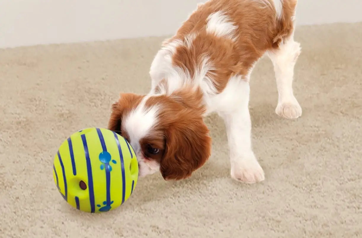 Pelota interactiva para perros