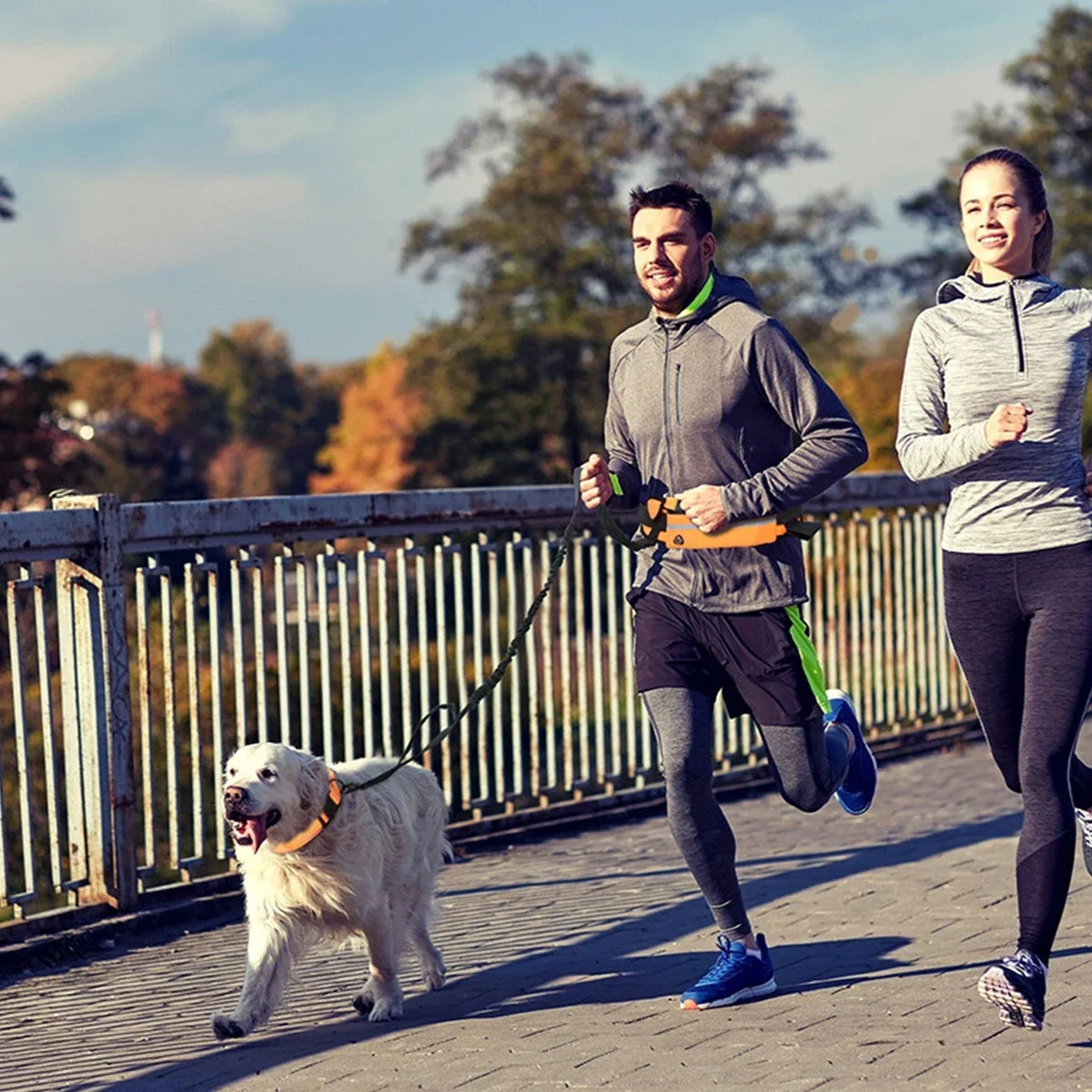 Hands-Free Dog Leash