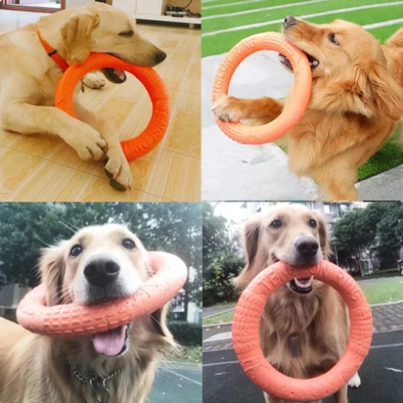 Dog Toy - Pet Flying Disk