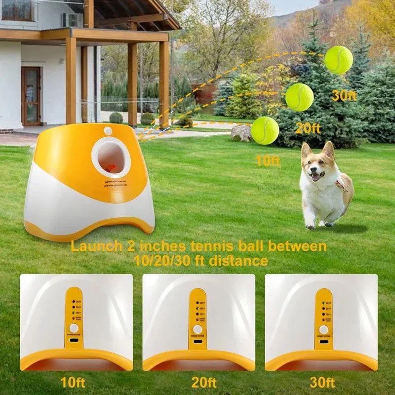 Lanzador automático de pelotas para perros 