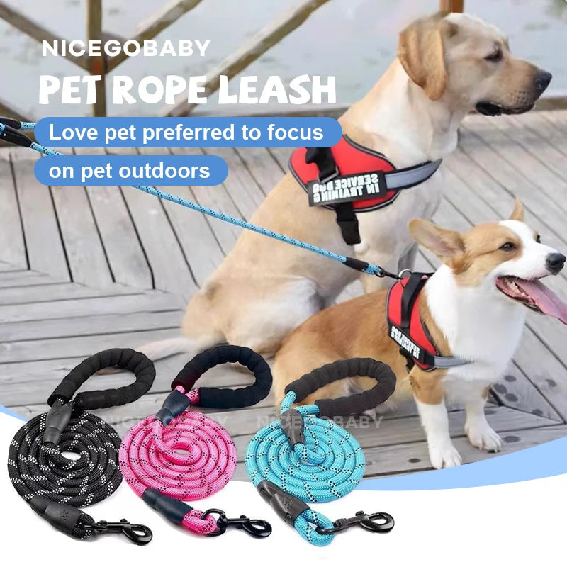 Reflective Dog Leash – Illuminate Your Evening Walks !