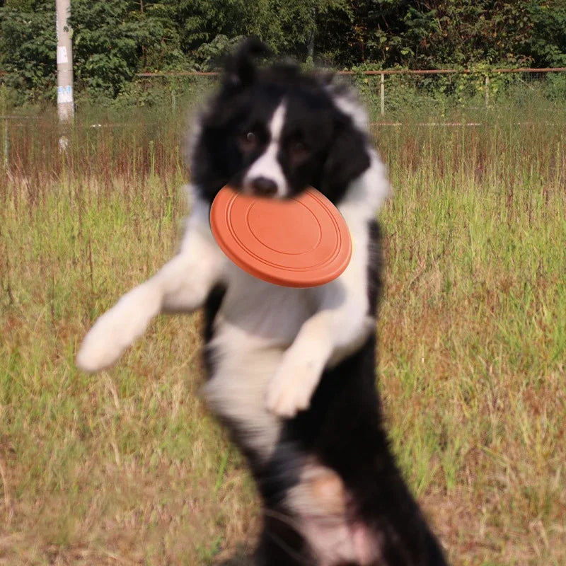 Discos voladores para perros