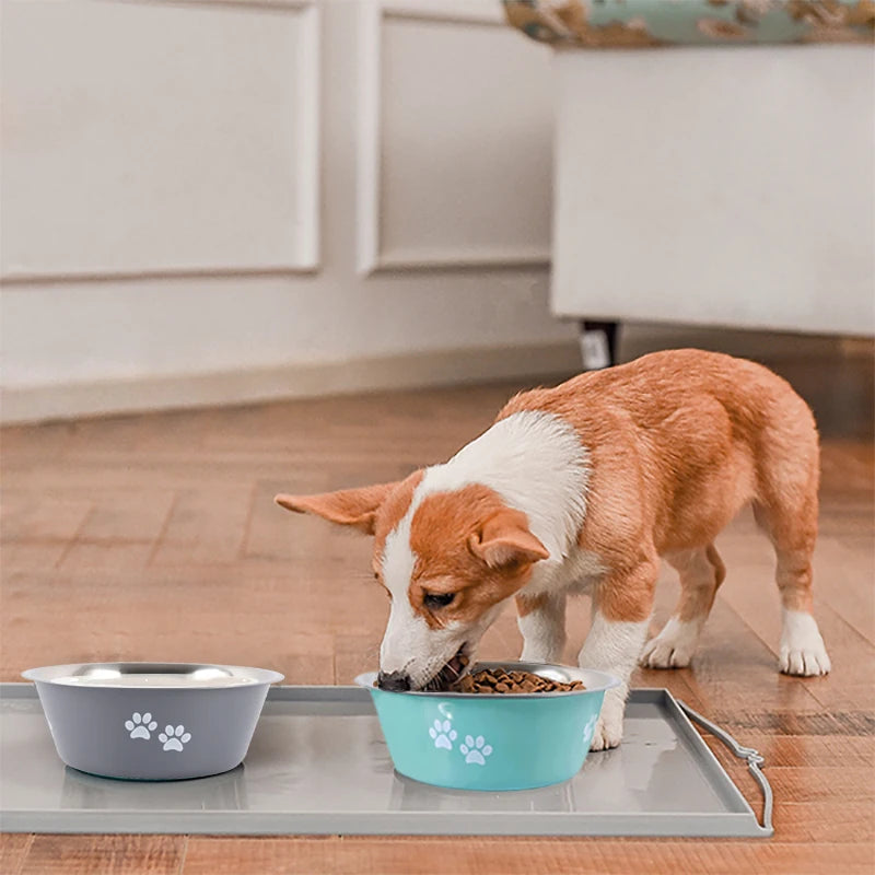 Dog Feeder Bowls And Drinkers Stainless Steel