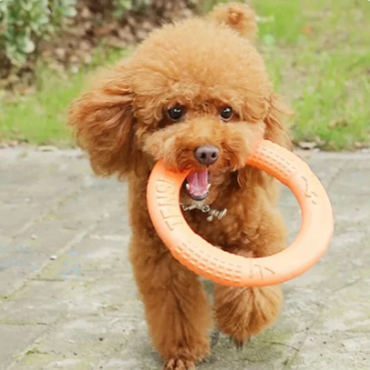 Dog Toy - Pet Flying Disk