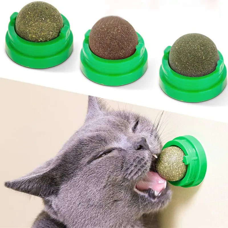 Natural Cat Wall Stick-on Ball