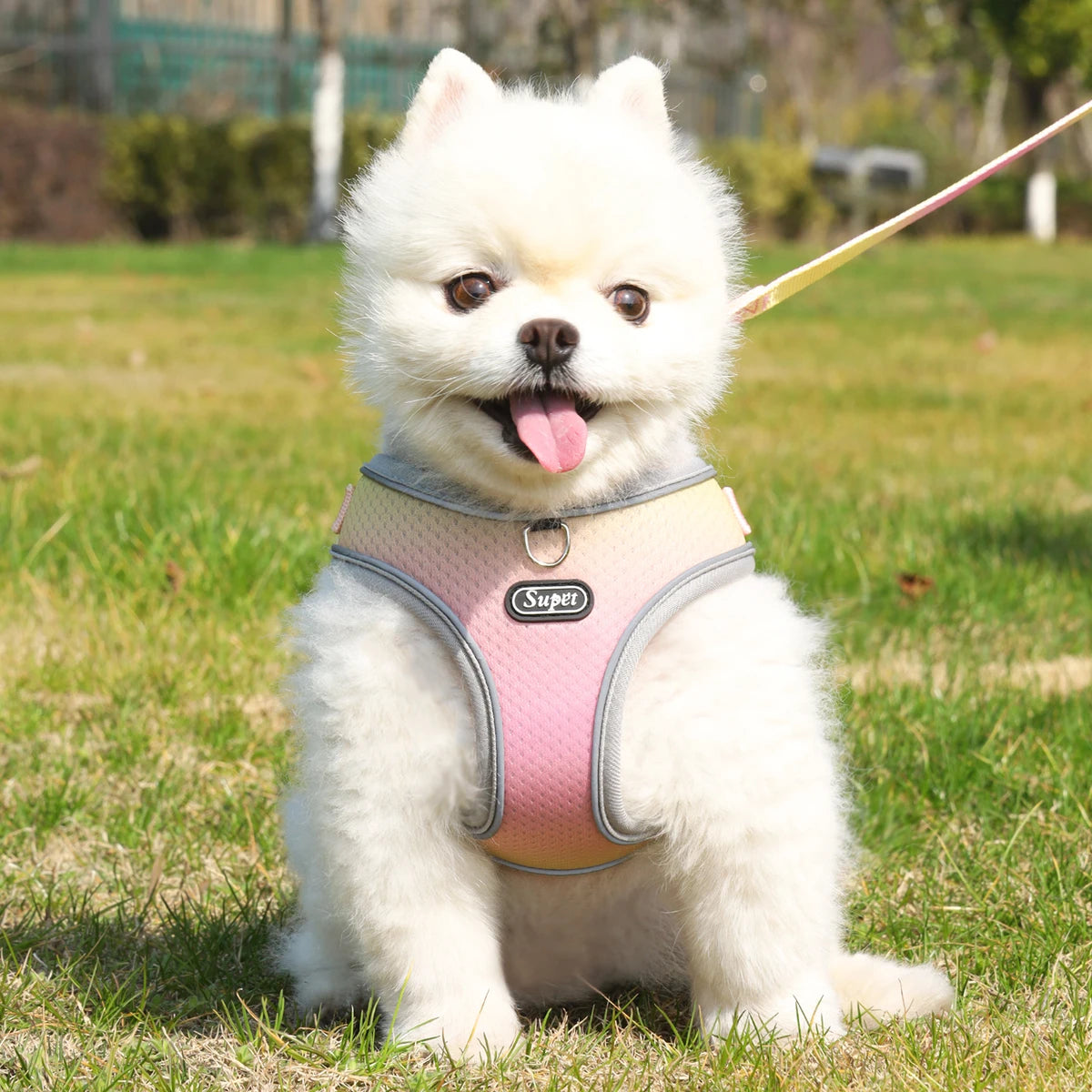 Cat & Dog Harness - Adjustable & Reflective