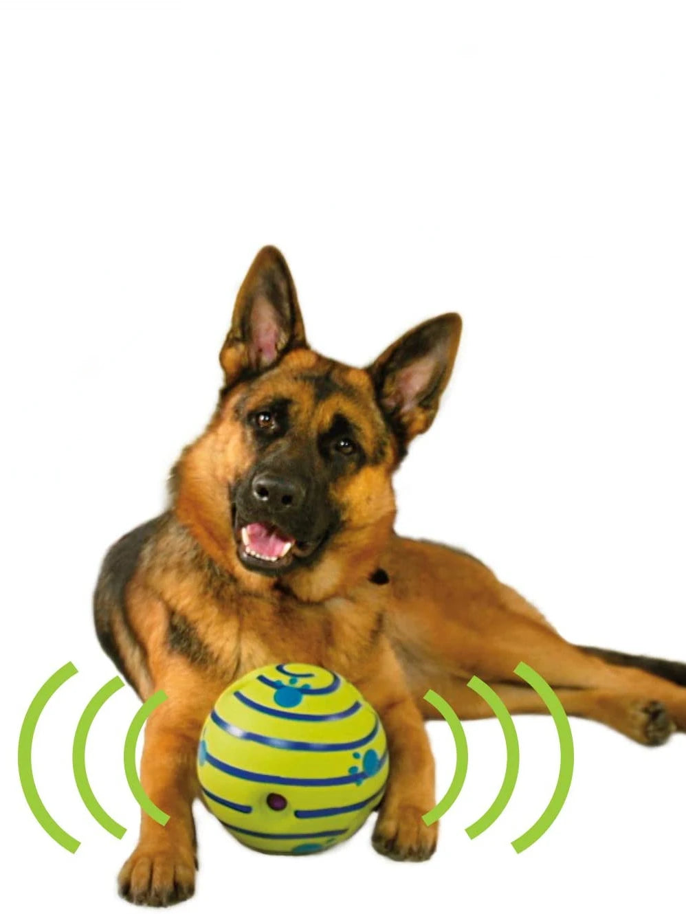 Pelota interactiva para perros