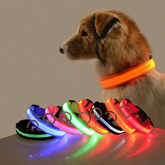 Collar fluorescente luminoso para perros: seguridad nocturna con LED