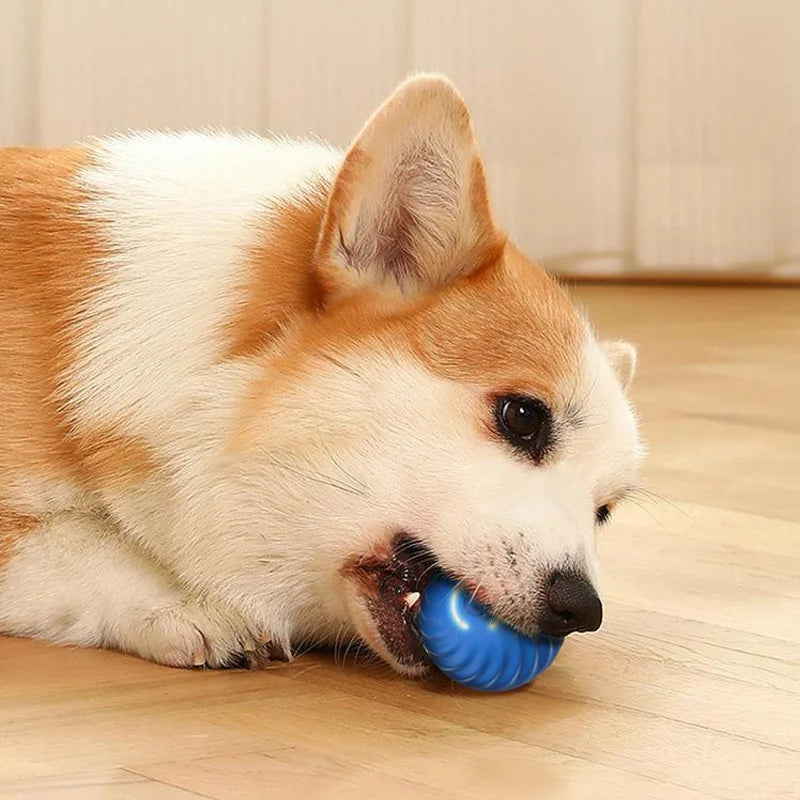 Pelota de juguete automática para perros y gatos, con movimiento inteligente, USB, para saltar, giratoria, interactiva 