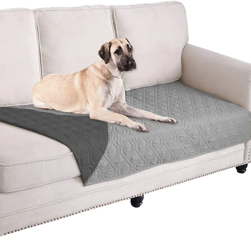 Waterproof Dog Bed and Sofa Cover – Quirky Protection for Your Furniture!